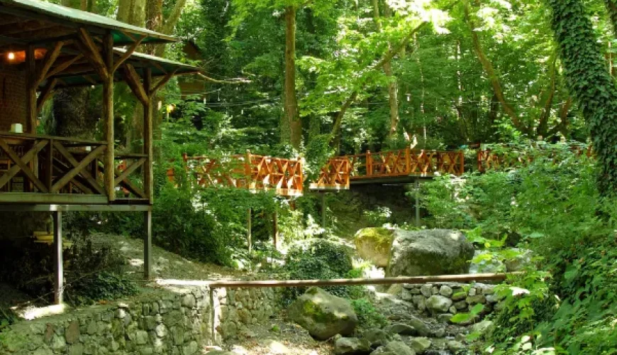 Sapanca and Masukiye Tours