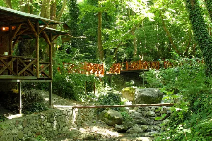 Sapanca and Masukiye Tours